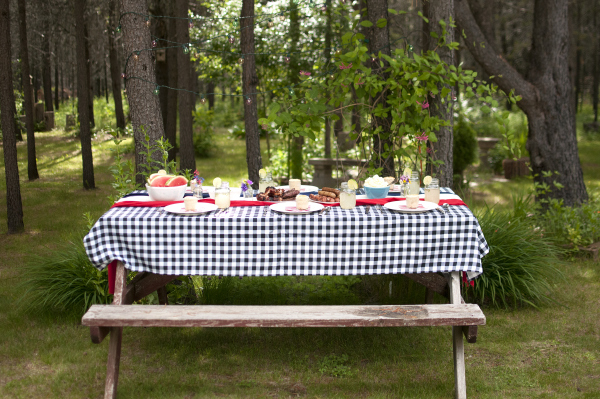Zaycon Foods -patriotic picnic