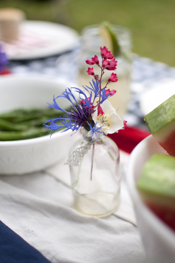 Zaycon Foods- patriotic picnic