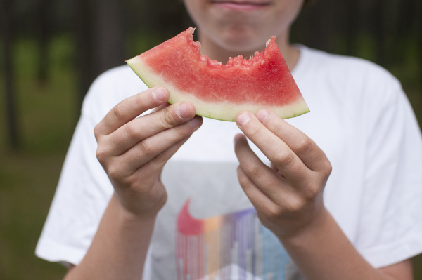 Zaycon foods- patriotic picnic
