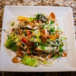 Premium Breaded Chicken Strips Fritters